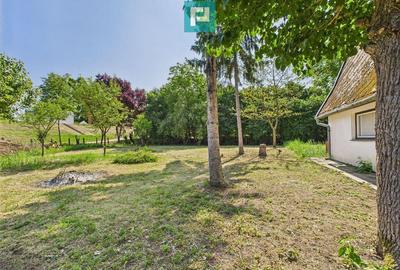 Casu?a de vacan?a cu POTEN?IAL DE INVESTI?IE - 4