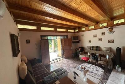 Casă cu 4 camere cu Teren 1916 Mp în Homorâciu - 2