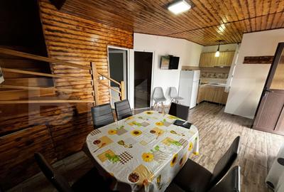 Cabana cu 3 dormitoare, 3 bai, terasa ?i teren de 400 mp - 3