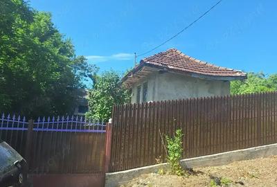 Casă cu 2 camere cu Teren 3100 Mp în Central - 1