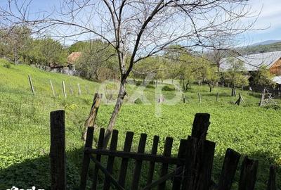 Teren de 14613 mp, în Tigveni - 8