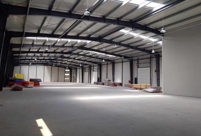 Spațiu comercial, de 1,000 mp, în Mogoșoaia - 1