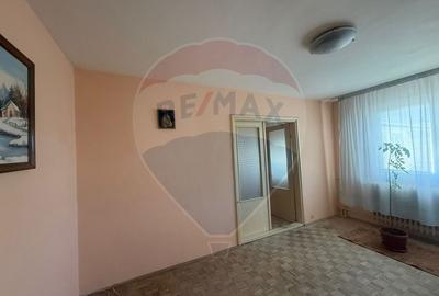 Apartament cu 2 camere semidecomandat în Valea Rosie - 4