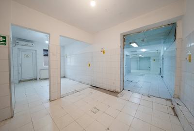 Casă individuală cu 10 camere cu Canalizare în Eroii Revoluției - 13