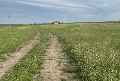 Spațiu comercial, în Central - 6
