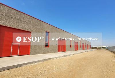 Hale industriale, parc modern, Rudeni, Chitila, Ilfov- ID 15462 Hale industriale, parc modern, Rudeni, Chitila, Ilfov- ID 15462 - 29