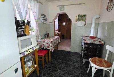 Casă cu Teren 6762 Mp în Copăcel - 3