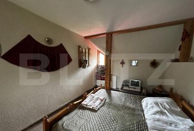 Casă cu 7 camere cu Teren 6000 Mp în Debarcader - 2