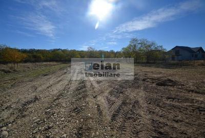 Snagov - Ciofliceni, Str Serban Cantacuzino 882 Mp, Asfalt, Utilitati Snagov - Ciofliceni, Str Serban Cantacuzino 882 Mp, Asfalt, Utilitati - 1