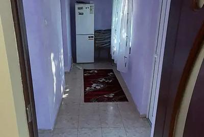 Casă cu 3 camere cu Teren 3850 Mp în Mitoc - 2