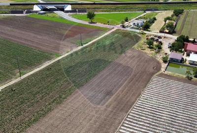 Teren de 6300 mp, în Jorăști