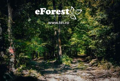 Terenuri de vanzare, zona verde, acces din DN1A, eForest - 4