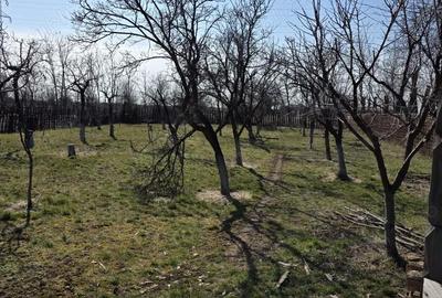 Casă cu Teren 2579 Mp în Colanu - 5