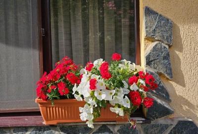 Vand casa 3 camere ARIUSD - 13