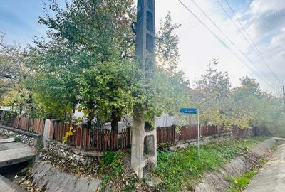 Vand casa traditionala autentica in sat Milostea, judet Valcea, perisaje frumoase, zona linistita - 6