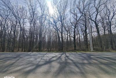 Spațiu comercial, în Ciorogârla - 2