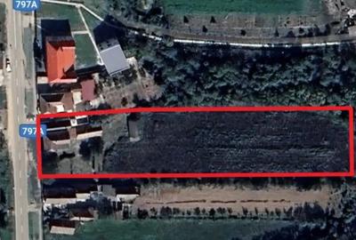 Casa cu teren de 6060 mp | LOC. BICACI | BIHOR - 5