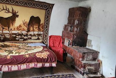 Casă cu Teren 1255 Mp în Săcelu - 2