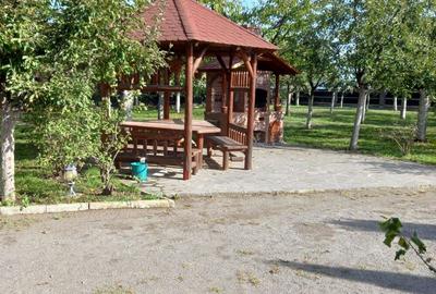 Vanzare casa + anexa + curte foarte spa?ioasa (2550 mp) - 6