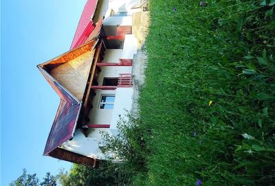 Casă cu 2 camere în Șuici - 4