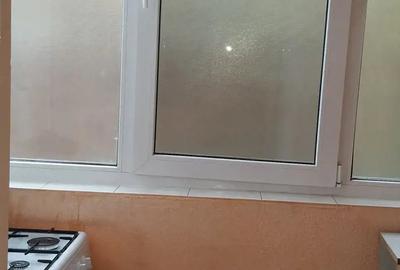 Apartament cu o Camera in Dragasani - 5