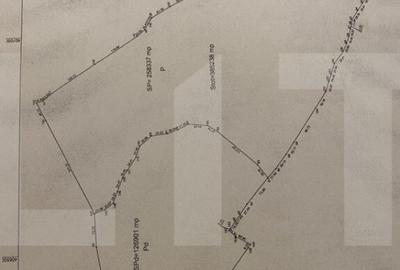 Teren 40 Hectare, Locuinta, 3 lacuri, zona Alunis - 3