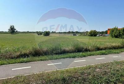 Teren de 20561 mp, în Salonta - 11