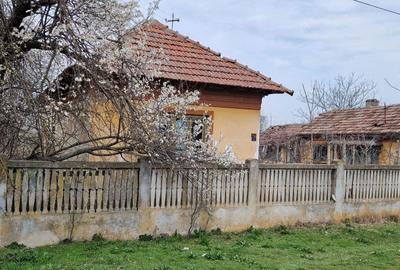 Spațiu comercial, în Goicea - 4