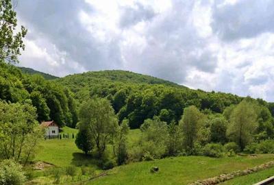 Teren Construcții intravilan de 965 mp, în Măieruș - 7