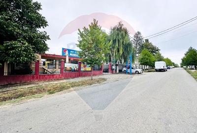 Spațiu comercial, de 400 mp, în Vlad Țepeș - 22