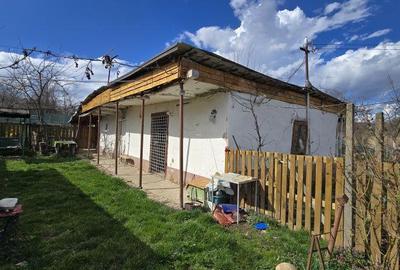 Casă cu 3 camere cu Teren 2876 Mp în Central - 9