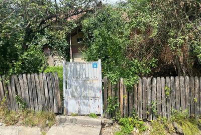 Casa de caramida la ?ara - 4