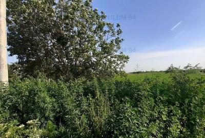 Teren cu utilita?i pentru dezvoltare proiect - 8