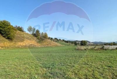 Teren Manastirea Humorului / Strada Principala 22,238 MP - 8