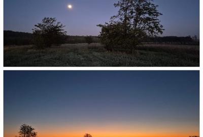 Poprietar - Loc de casa - Snagov - teren intravilan Poprietar - Loc de casa - Snagov - teren intravilan - 2