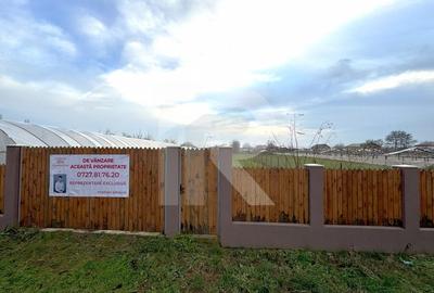 Teren intravilan, Curcubeu, Balta Doamnei, liber, imprejmuit - 1