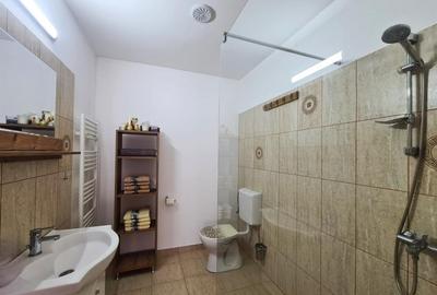 Casa deosebita \ vanzare \ Marginimea Sibiului \ Fantanele - 5