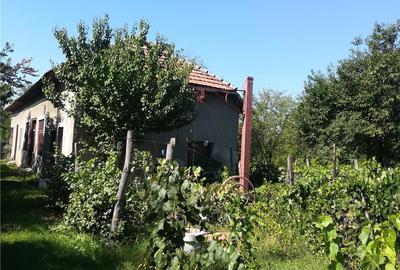 Casă cu 5 camere în Celaru - 8