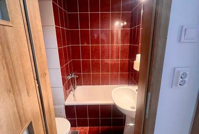 PIATA UNIRII / CENTRUL VECHI / TOTUL NOU / RENOVAT 2025 /PRIMUL CHIRIAS - 2