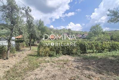 Casă individuală cu 3 camere cu Teren 1565 Mp în Bengești-Ciocadia - 10