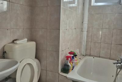 Gars et 1 rogerius - 7