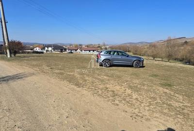 Spațiu comercial, în Apalina - 5