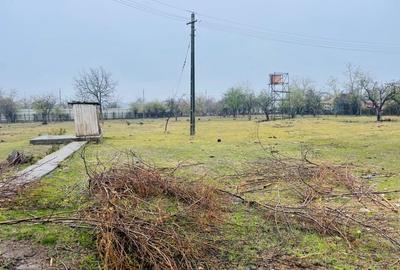 Teren investiție, de 90,000 mp, în Dridu - 3