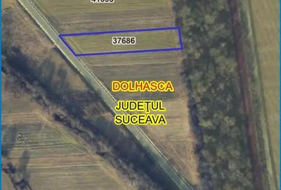 Teren de 2800 mp, în Probota - 5