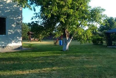 Ciopani vila 5 camere teren 4000 mp - 11