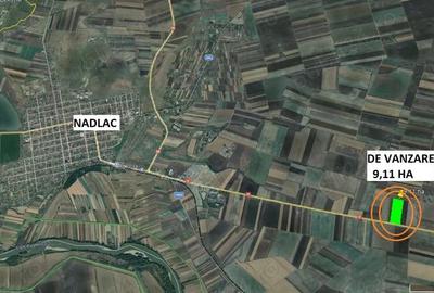 9 ha teren cu front la DN 7 , Nadlac - 2