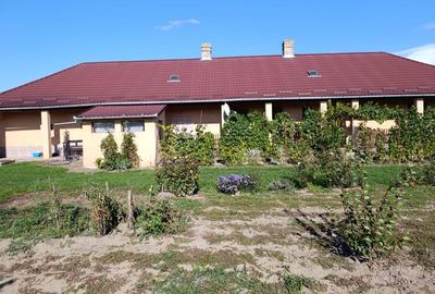 Casă cu 4 camere în Horea - 2