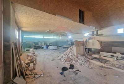 Spațiu industrial, de 290 mp, în Almaș - 10