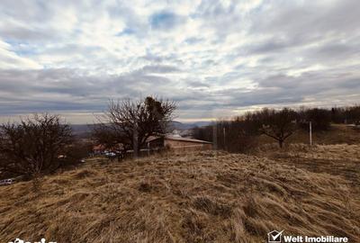 Teren de 770 mp, în Chinteni