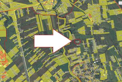 Teren de 550 mp, în Șelimbăr - 1